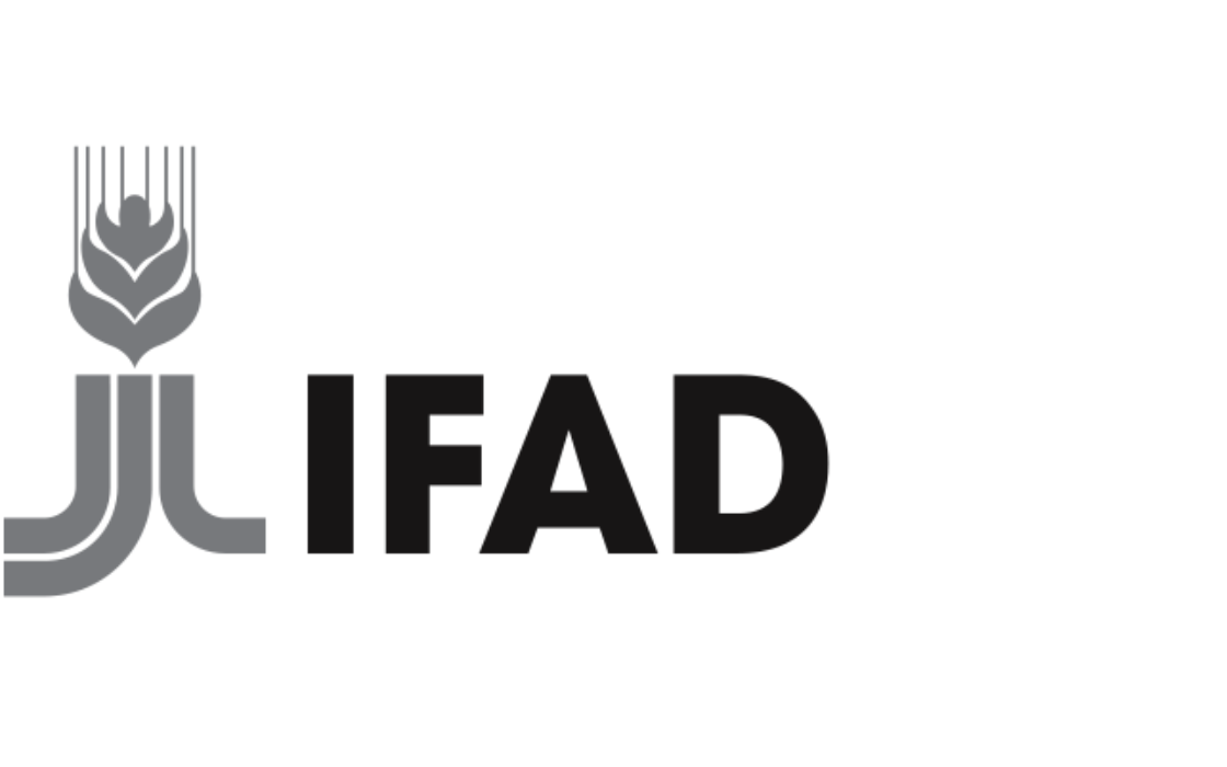 Design System Stocktake + UX Redesign